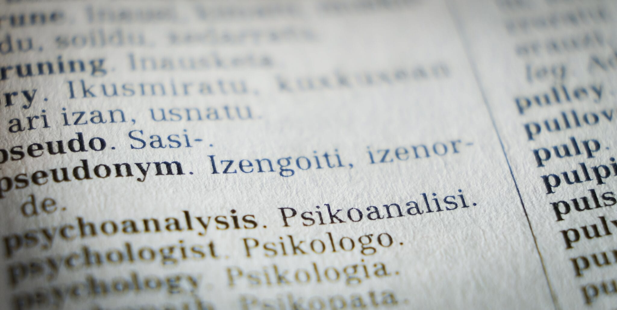 Overcoming the Challenges of Linguistic Publishing through Technical Precision and Effective Communication.